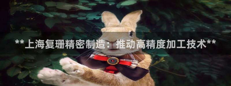 彩神正规吗：**上海复珊精密制造：推动高精度加工技术**