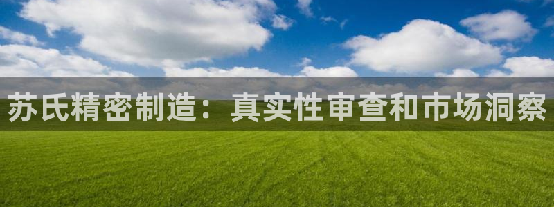 彩神v8是一个什么平台啊：苏氏精密制造：真实性审查和市场洞察