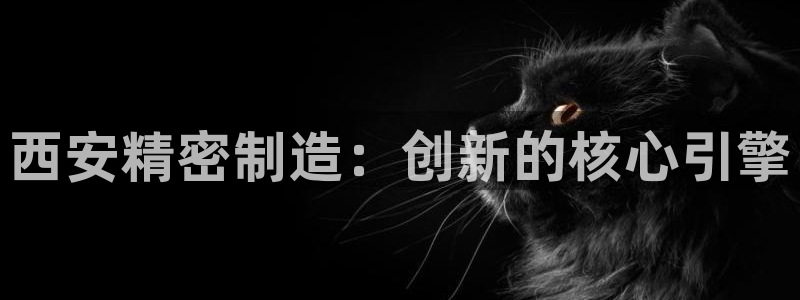 彩神vii官网：西安精密制造：创新的核心引擎