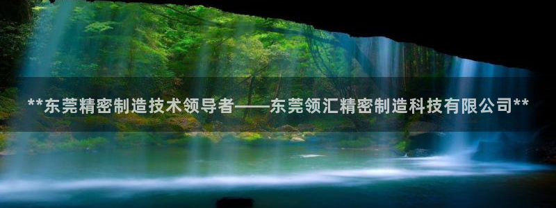 彩神正规吗：**东莞精密制造技术领导者——东莞领汇精密制造科技有限公司**