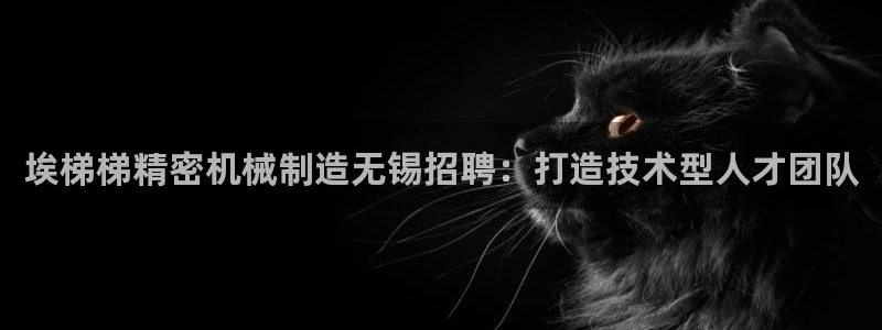 所有彩神购买首页都一样吗：埃梯梯精密机械制造无锡招聘：打造技术型人才团队