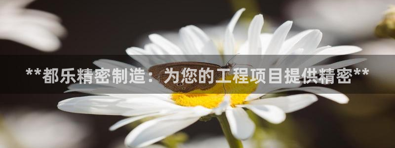 彩神VII官方版：**都乐精密制造：为您的工程项目提供精密**