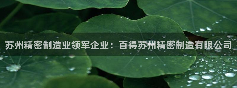 彩神购彩-购彩大厅入口500：苏州精密制造业领军企业：百得苏州精密制造有限公司