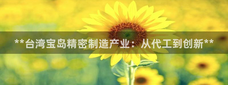 彩神是真的吗：**台湾宝岛精密制造产业：从代工到创新**
