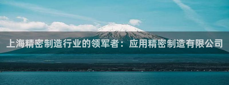 彩神输的钱是赌博还是诈骗：上海精密制造行业的领军者：应用精密制造有限公司