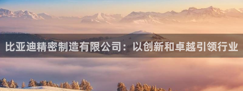 彩神v8平台正规吗知乎：比亚迪精密制造有限公司：以创新和卓越引领行业