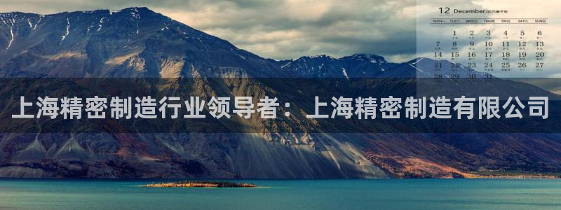 彩神广告有限公司：上海精密制造行业领导者：上海精密制造有限公司