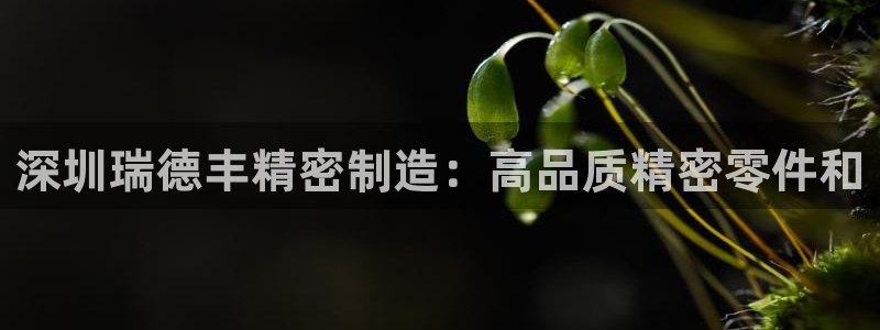 彩神是正规平台吗：深圳瑞德丰精密制造：高品质精密零件和
