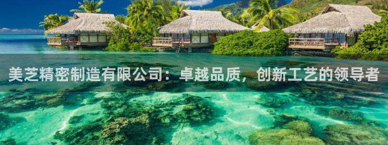 彩神ⅴll用户登录：美芝精密制造有限公司：卓越品质，创新工艺的领导者