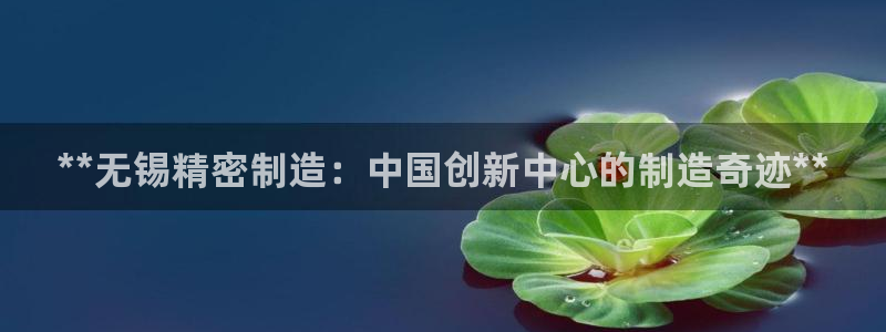 彩神赢钱了吗：**无锡精密制造：中国创新中心的制造奇迹**