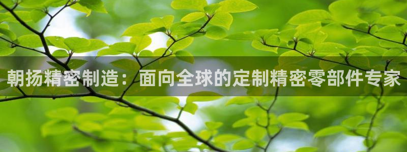 彩神v秘聊号码：朝扬精密制造：面向全球的定制精密零部件专家