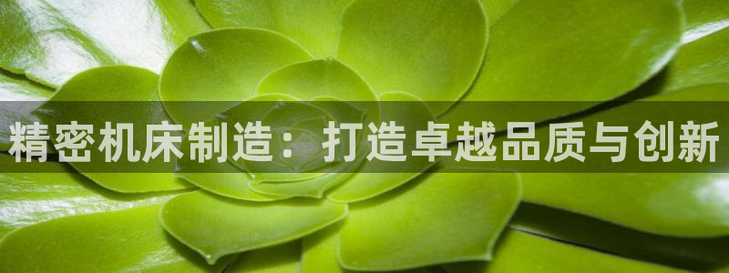 新版彩神v8登录不上去：精密机床制造：打造卓越品质与创新