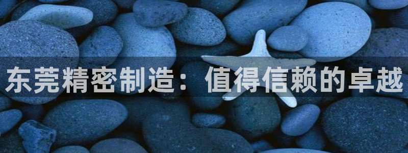 彩神旗下有哪些平台可以玩：东莞精密制造：值得信赖的卓越