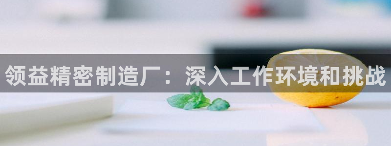 彩神v8几个版本：领益精密制造厂：深入工作环境和挑战