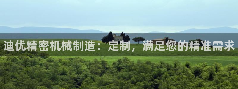 彩神网正规吗：迪优精密机械制造：定制，满足您的精准需求
