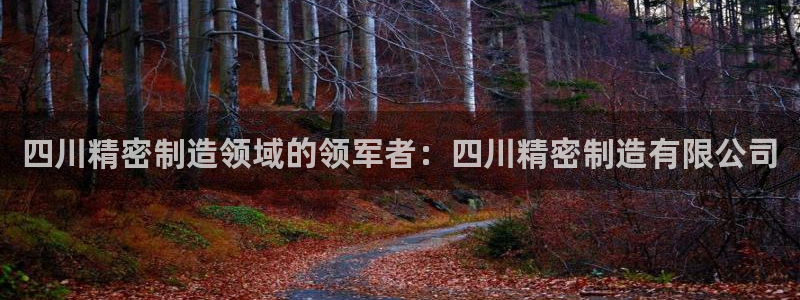 彩神iv能赚钱吗：四川精密制造领域的领军者：四川精密制造有限公司