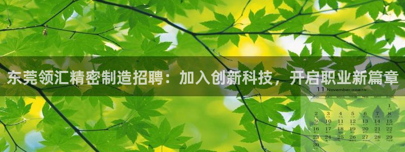 彩神8官网版是正规的吗：东莞领汇精密制造招聘：加入创新科技，开启职业新篇章