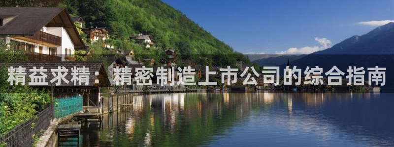 彩神8官网版是正规的吗：精益求精：精密制造上市公司的综合指南