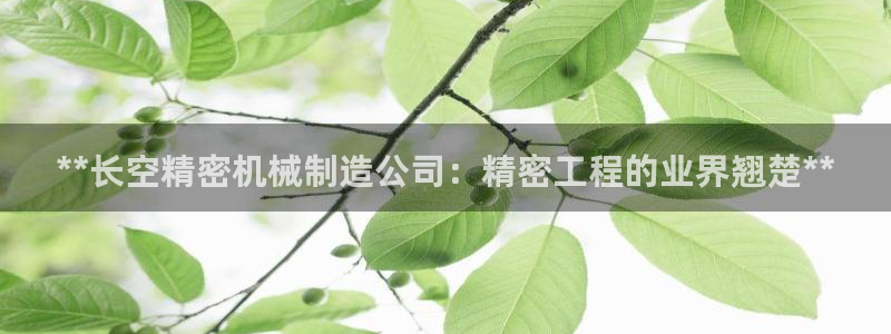 彩神购彩-购彩大厅入口500：**长空精密机械制造公司：精密工程的业界翘楚**