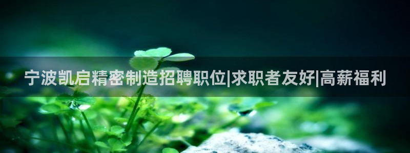 彩神争霸平台：宁波凯启精密制造招聘职位|求职者友好|高薪福利