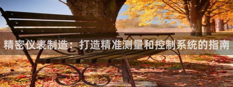 彩神vii购彩l心：精密仪表制造：打造精准测量和控制系统的指南