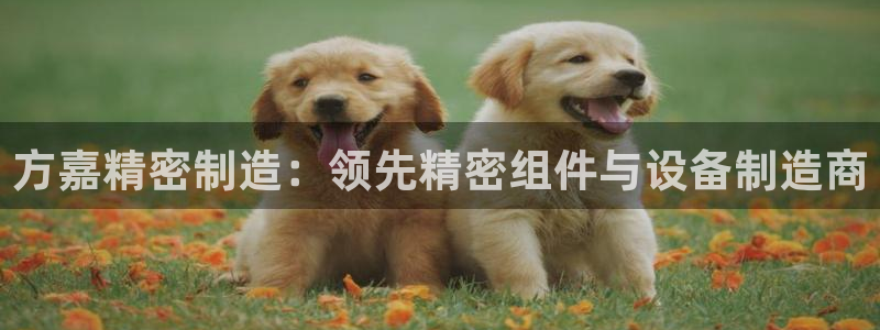 彩神v8平台正规吗可靠吗：方嘉精密制造：领先精密组件与设备制造商