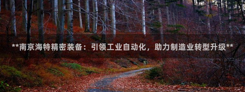 彩神V集团有限公司：**南京海特精密装备：引领工业自动化，助力制造业转型升级**
