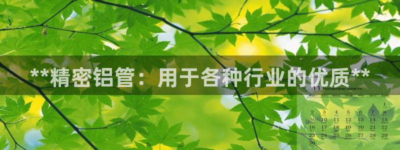 彩神VII官方版：**精密铝管：用于各种行业的优质**