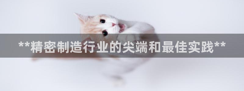 彩神v秘聊号码：**精密制造行业的尖端和最佳实践**