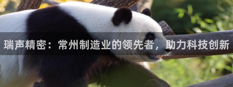 彩神v8首页：瑞声精密：常州制造业的领先者，助力科技创新