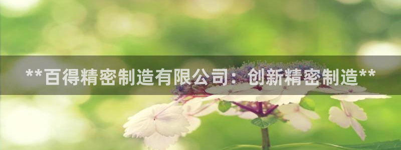 彩神Vll：**百得精密制造有限公司：创新精密制造**