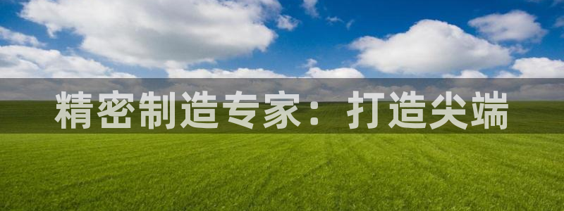 所有彩神购买首页都一样吗：精密制造专家：打造尖端