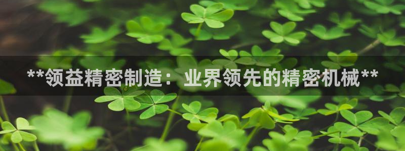 彩神v8购彩大厅登：**领益精密制造：业界领先的精密机械**