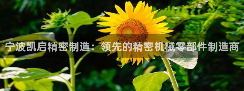 彩神v争霸有限公司：宁波凯启精密制造：领先的精密机械零部件制造商