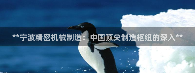 彩神vii购彩l心：**宁波精密机械制造：中国顶尖制造枢纽的深入**