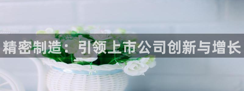 彩神是真的吗：精密制造：引领上市公司创新与增长