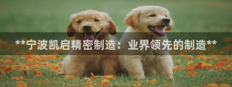 彩神大发是不是人为操作：**宁波凯启精密制造：业界领先的制造**