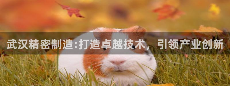 彩神新微聊：武汉精密制造:打造卓越技术，引领产业创新