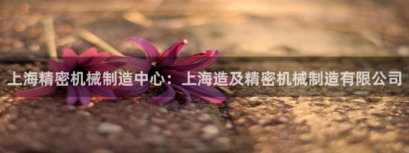 彩神大发是不是人为操作：上海精密机械制造中心：上海造及精密机械制造有限公司