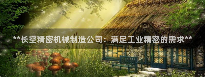 彩神VII官方版：**长空精密机械制造公司：满足工业精密的需求**