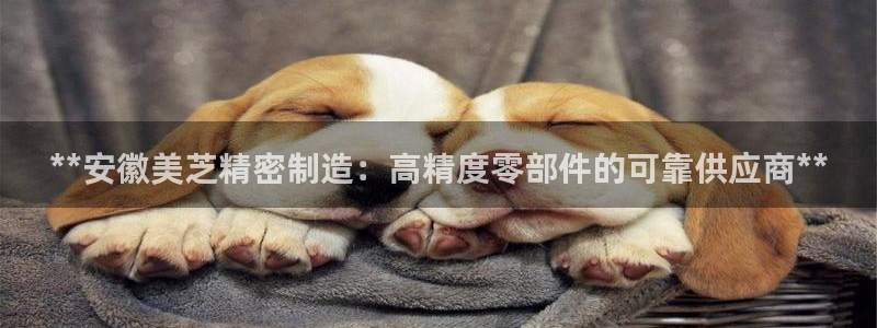 新版彩神v8登录：**安徽美芝精密制造：高精度零部件的可靠供应商**
