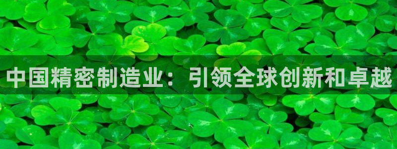 彩神广告有限公司：中国精密制造业：引领全球创新和卓越