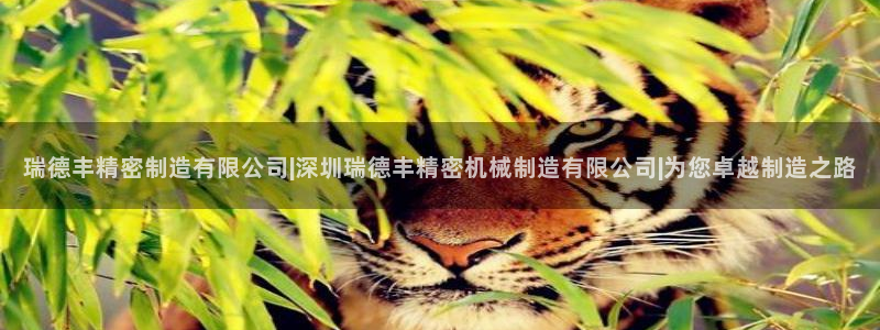 彩神v1官网：瑞德丰精密制造有限公司|深圳瑞德丰精密机械制造有限公司|为您卓越制造之路