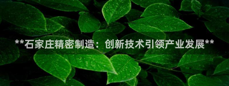 彩神8是正规平台吗：**石家庄精密制造：创新技术引领产业发展**