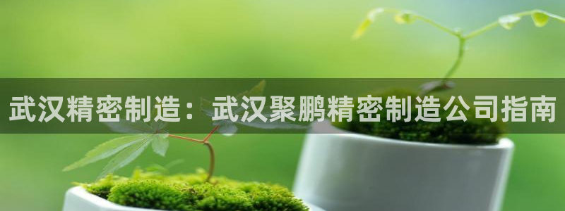 彩神ii官方网：武汉精密制造：武汉聚鹏精密制造公司指南