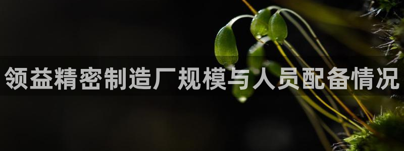 彩神大发是不是人为操作：领益精密制造厂规模与人员配备情况