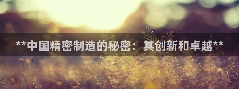 彩神平台能提现吗：**中国精密制造的秘密：其创新和卓越**