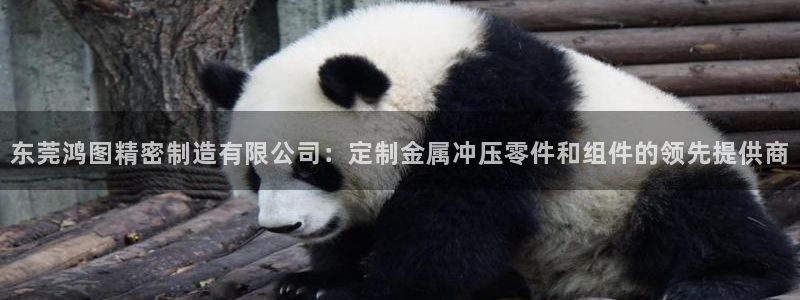 彩神8官网版是正规的吗：东莞鸿图精密制造有限公司：定制金属冲压零件和组件的领先提供商