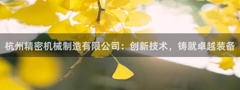 大发彩神官网下载：杭州精密机械制造有限公司：创新技术，铸就卓越装备