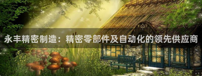 彩神骗局：永丰精密制造：精密零部件及自动化的领先供应商